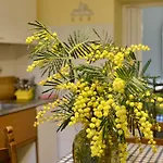 La Nei Fiori