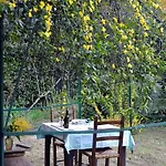 La Nei Fiori 2*