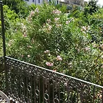 La Nei Fiori فلورنس