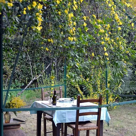 La Nei Fiori 2*
