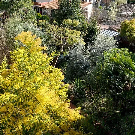 Gæstehus La Nei Fiori Firenze