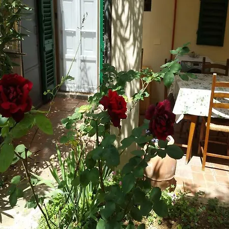 La Nei Fiori 2* Florence