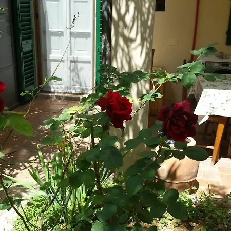 La Nei Fiori Florens