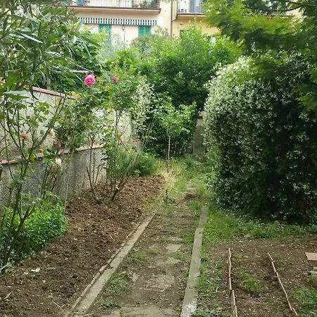 La Nei Fiori 2*